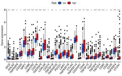 Construction of a prognostic model for HCC based on ferroptosis-related lncRNAs expression and its potential to predict the response and irAEs of immunotherapy